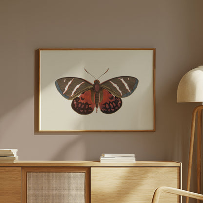 Premium Poster of Vibrant Colorful Butterfly Nature Wall Art Posters