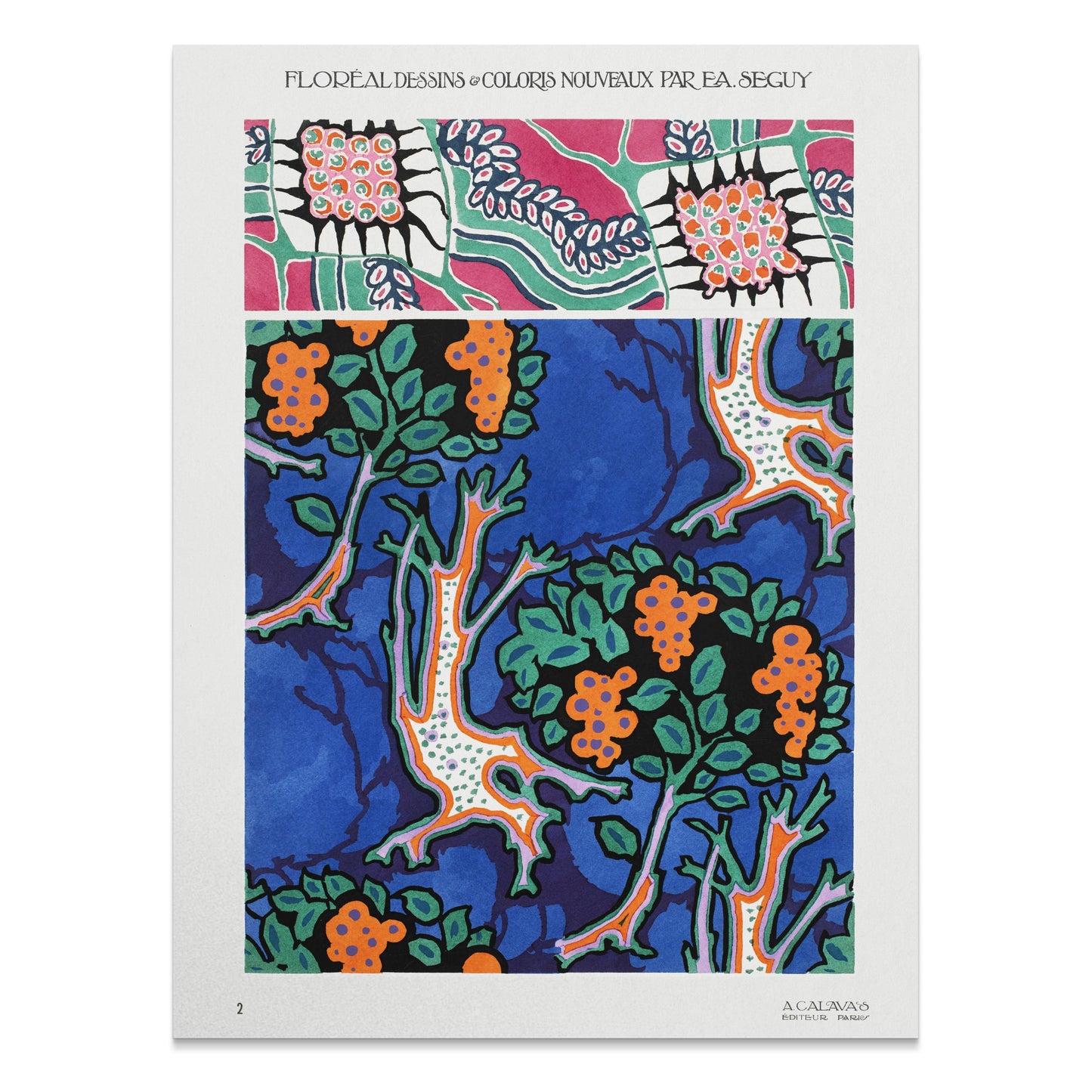 Premium Poster of Vibrant Floral Botanical Artwork Vintage Style Posters