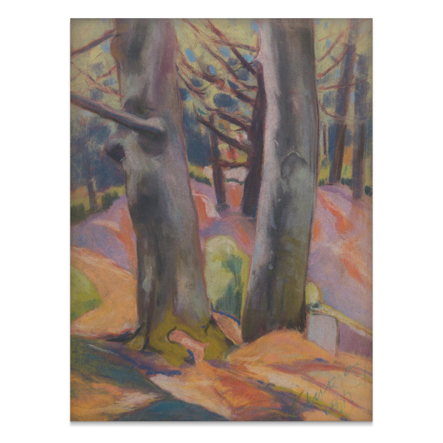 Premium Poster of Vibrant Forest Landscape with Trees Art Print Posters