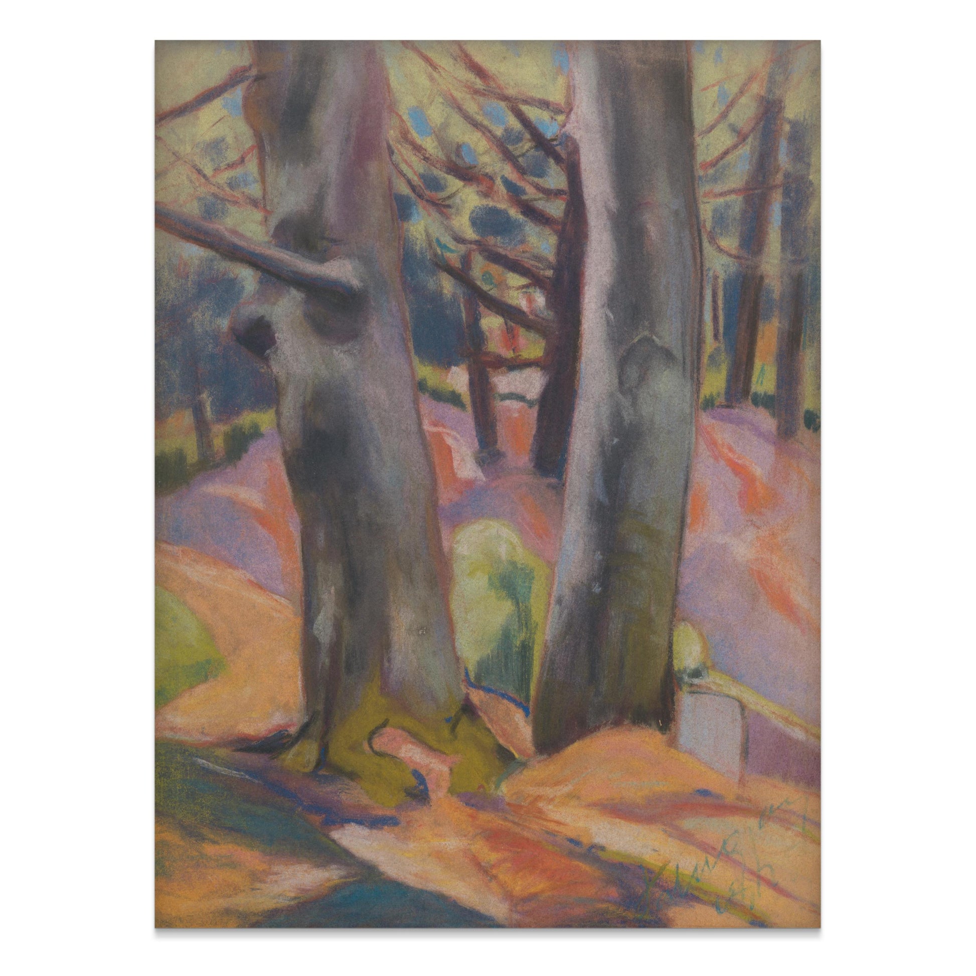 Premium Poster of Vibrant Forest Landscape with Trees Art Print Posters