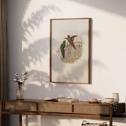 Premium Poster of Vibrant Parrot Illustration Exotic Birds Art Print Posters