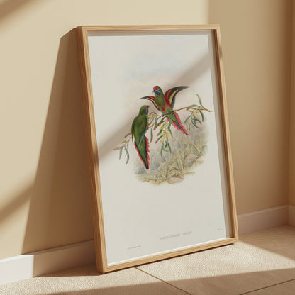 Premium Poster of Vibrant Parrot Illustration Exotic Birds Art Print Posters