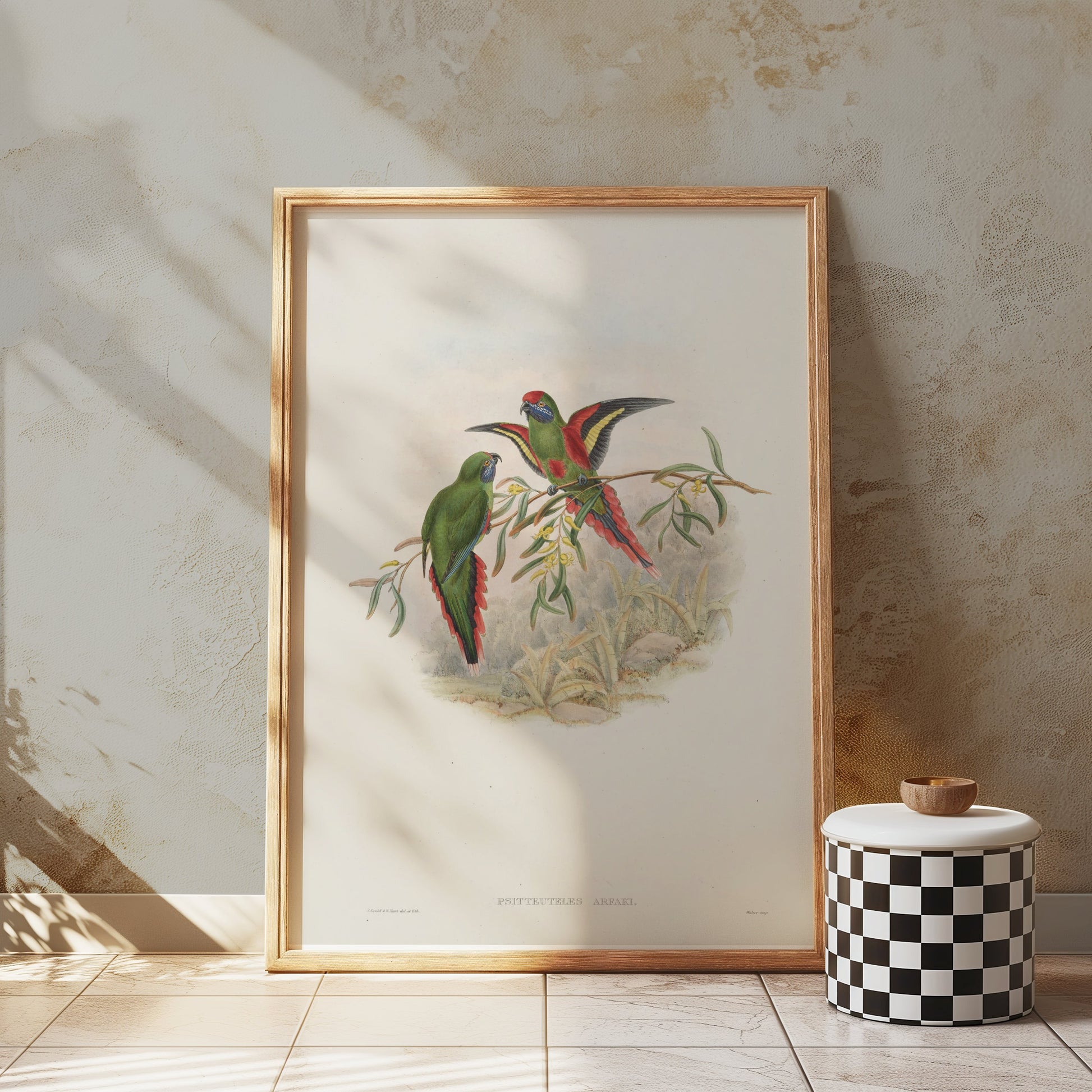 Premium Poster of Vibrant Parrot Illustration Exotic Birds Art Print Posters