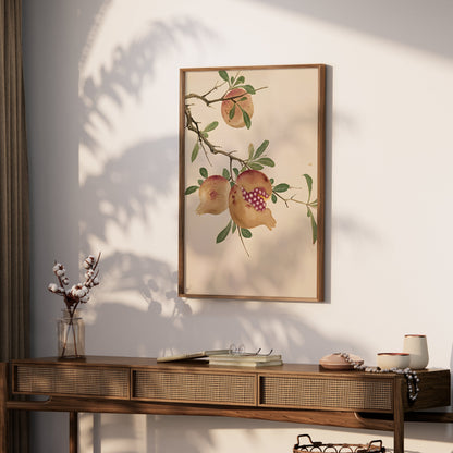 Premium Poster of Vibrant Pomegranate Botanical Wall Art Picture Posters
