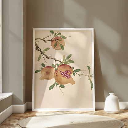 Premium Poster of Vibrant Pomegranate Botanical Wall Art Picture Posters