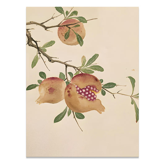 Premium Poster of Vibrant Pomegranate Botanical Wall Art Picture Posters