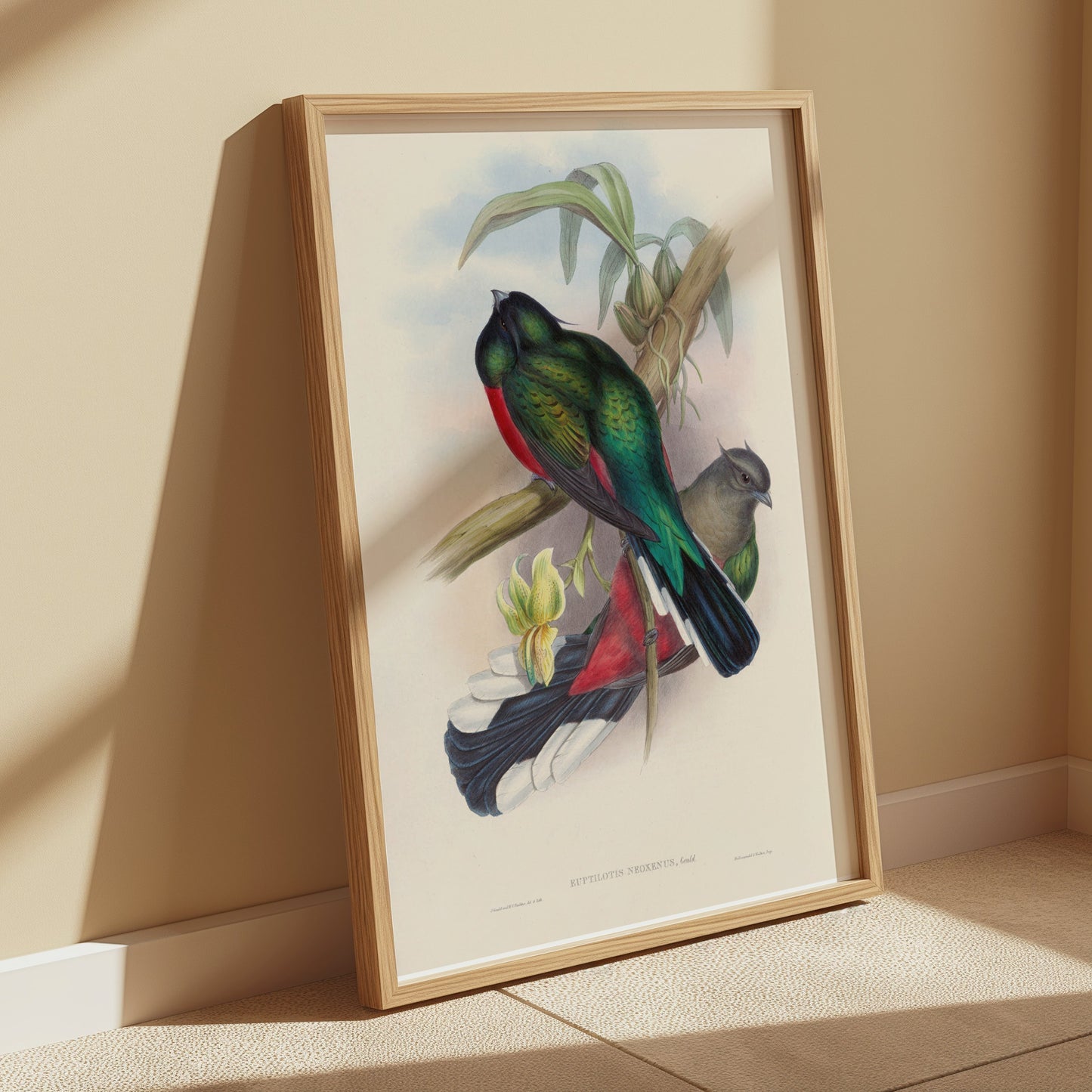Premium Poster of Vibrant Tropical Birds Illustration Art Posters