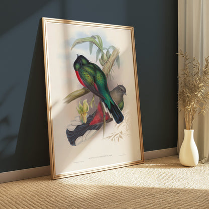 Premium Poster of Vibrant Tropical Birds Illustration Art Posters