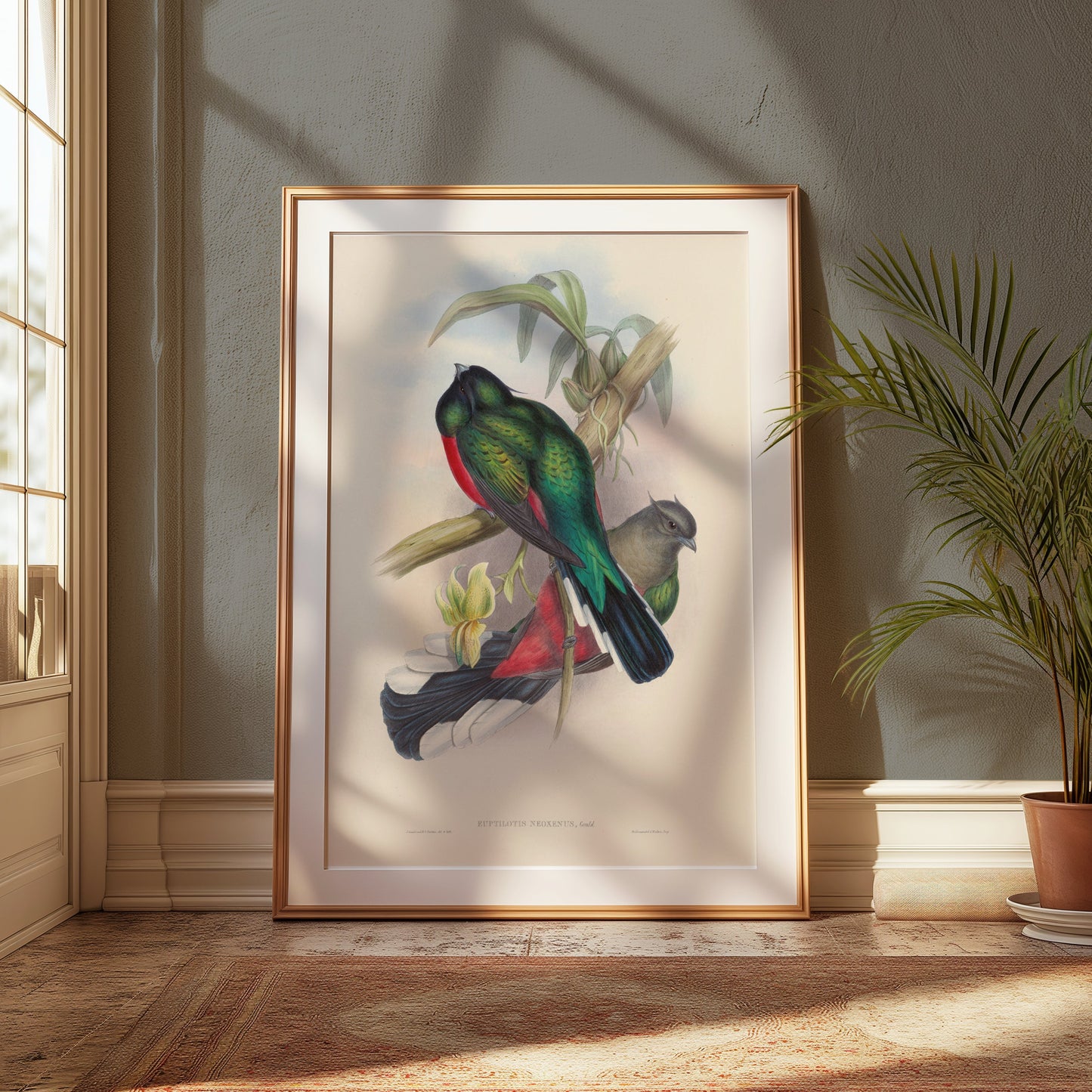 Premium Poster of Vibrant Tropical Birds Illustration Art Posters
