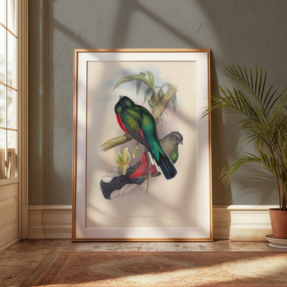 Premium Poster of Vibrant Tropical Birds Illustration Art Posters