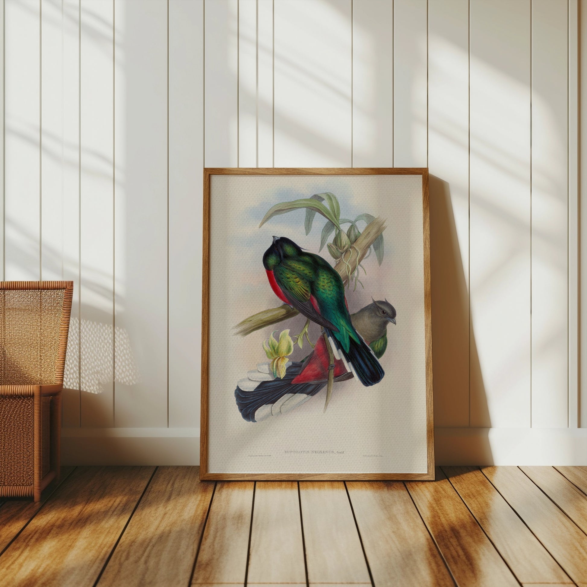 Premium Poster of Vibrant Tropical Birds Illustration Art Posters