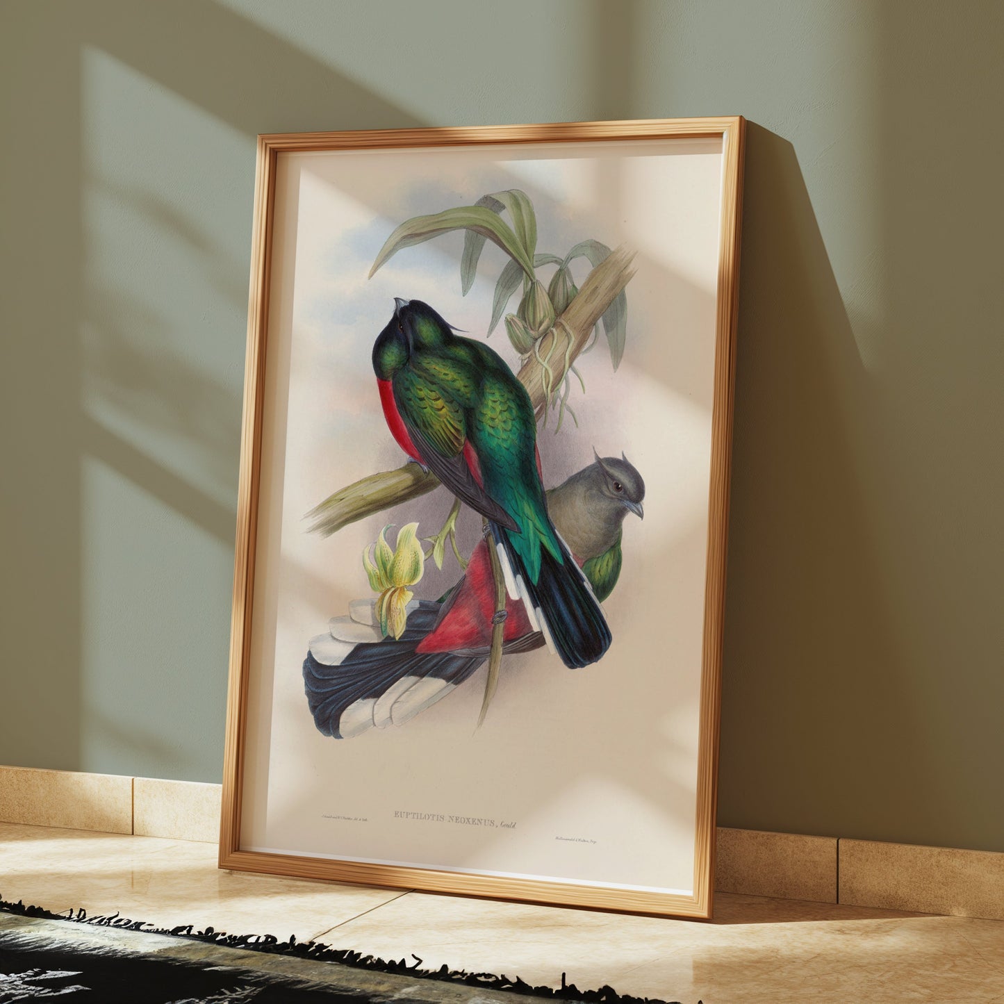 Premium Poster of Vibrant Tropical Birds Illustration Art Posters