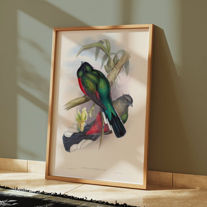 Premium Poster of Vibrant Tropical Birds Illustration Art Posters