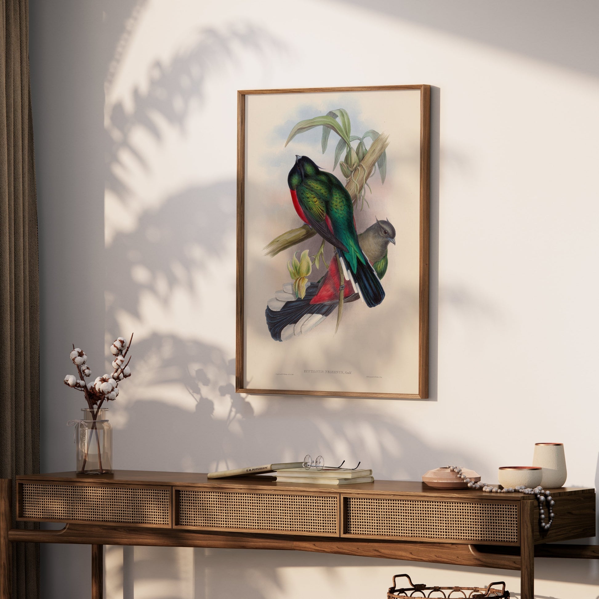 Premium Poster of Vibrant Tropical Birds Illustration Art Posters
