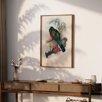 Premium Poster of Vibrant Tropical Birds Illustration Art Posters