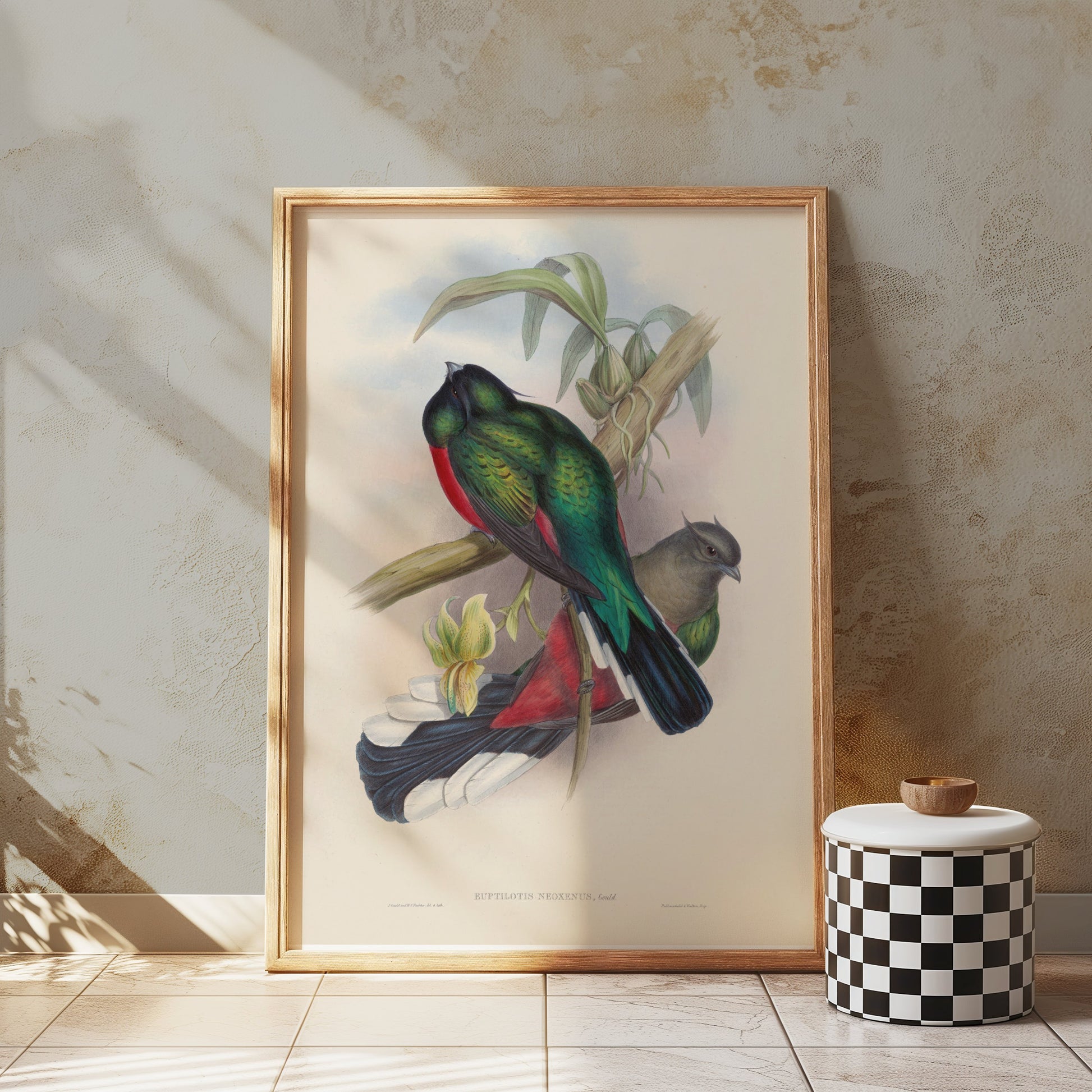 Premium Poster of Vibrant Tropical Birds Illustration Art Posters