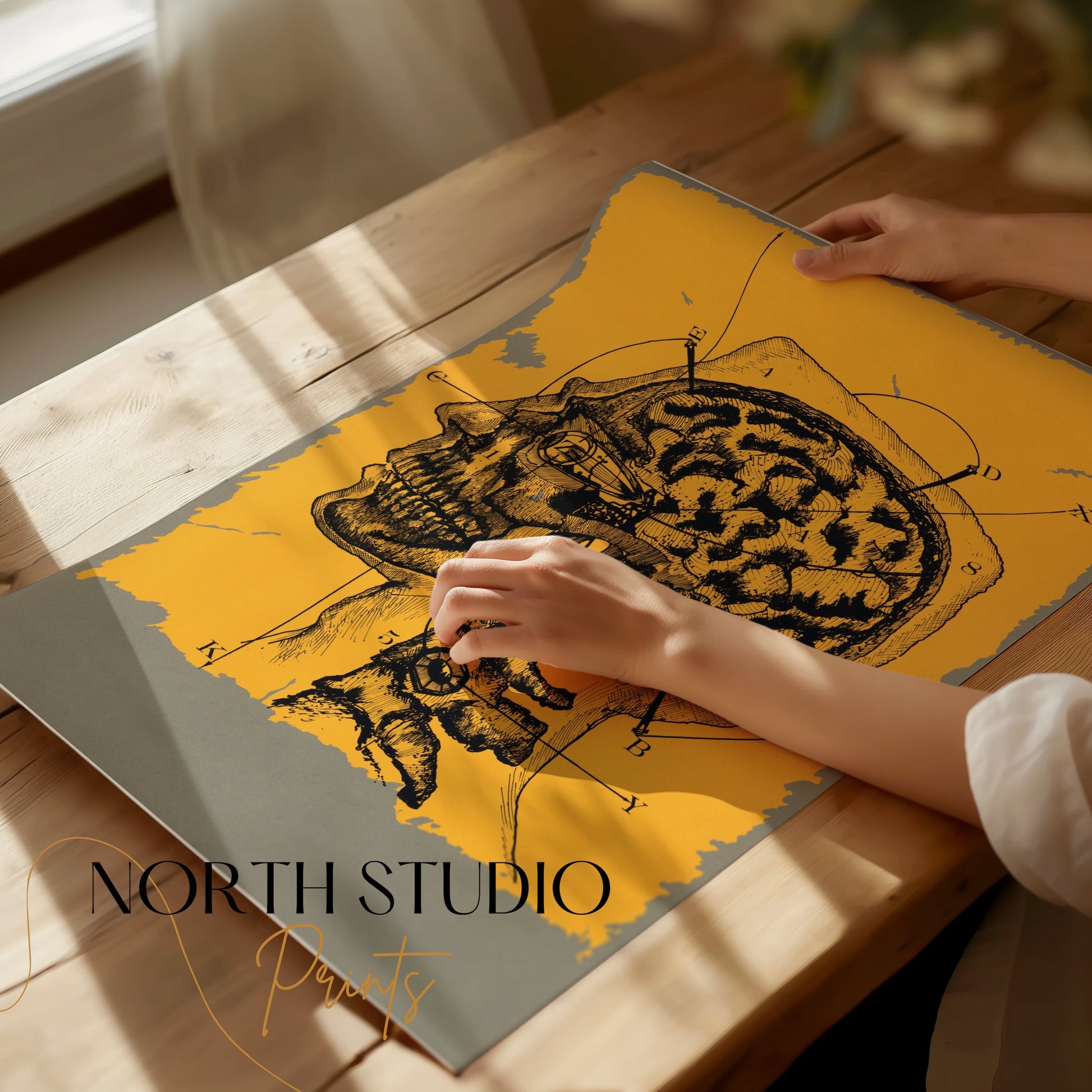 Premium Poster of Vintage Anatomical Drawing of Human Head and Brain Posters