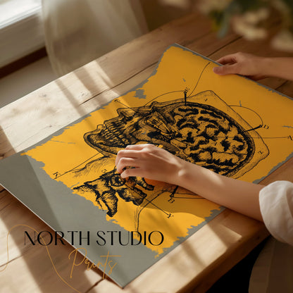 Premium Poster of Vintage Anatomical Drawing of Human Head and Brain Posters