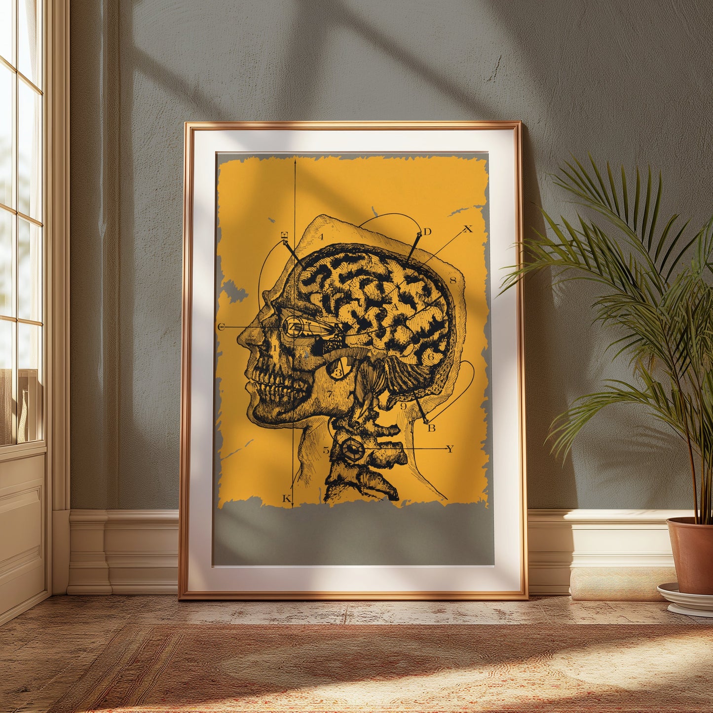 Premium Poster of Vintage Anatomical Drawing of Human Head and Brain Posters