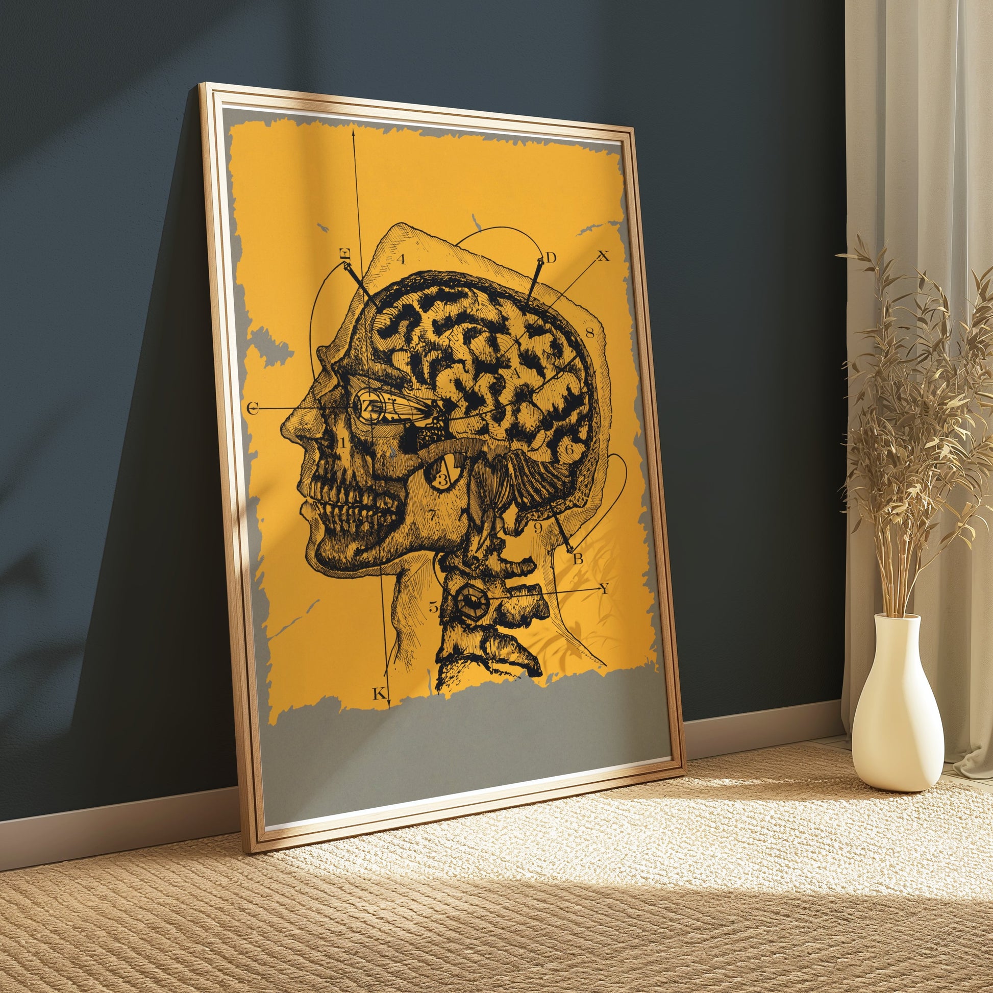 Premium Poster of Vintage Anatomical Drawing of Human Head and Brain Posters