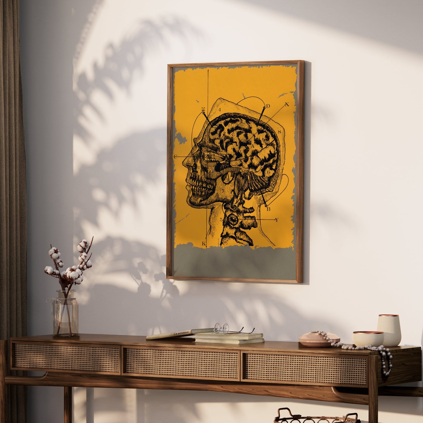 Premium Poster of Vintage Anatomical Drawing of Human Head and Brain Posters