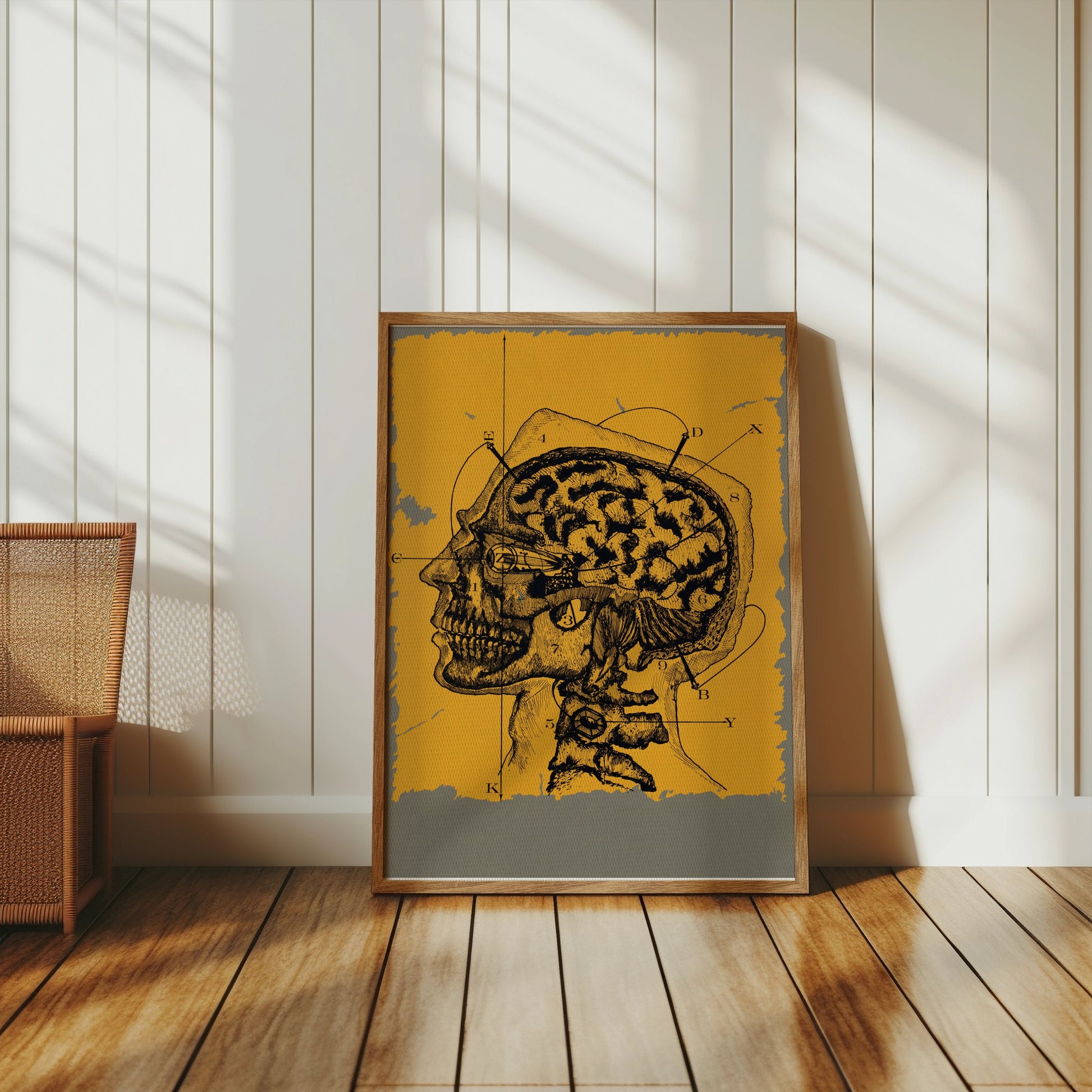 Premium Poster of Vintage Anatomical Drawing of Human Head and Brain Posters