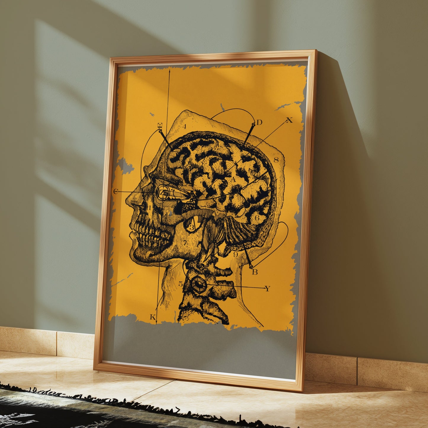 Premium Poster of Vintage Anatomical Drawing of Human Head and Brain Posters
