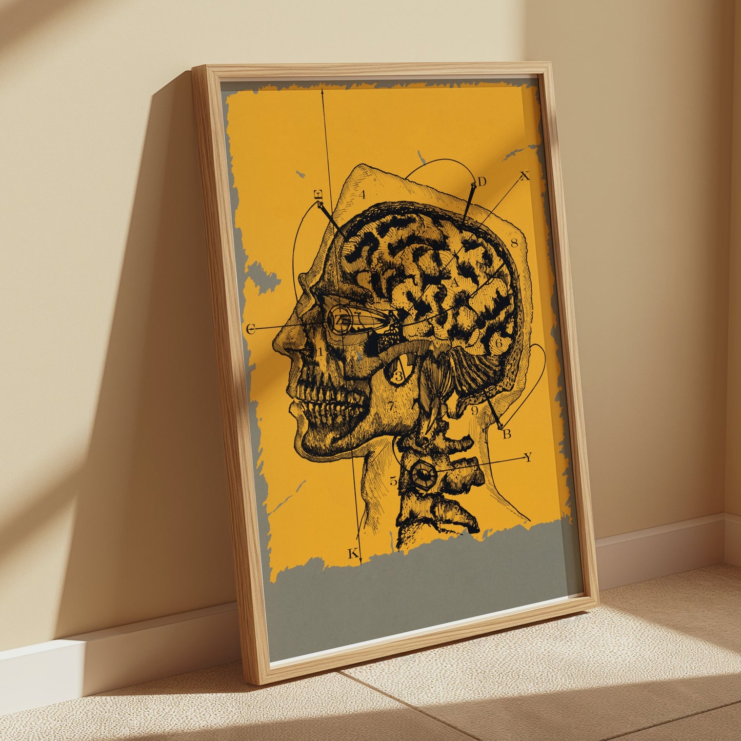 Premium Poster of Vintage Anatomical Drawing of Human Head and Brain Posters