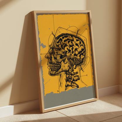 Premium Poster of Vintage Anatomical Drawing of Human Head and Brain Posters
