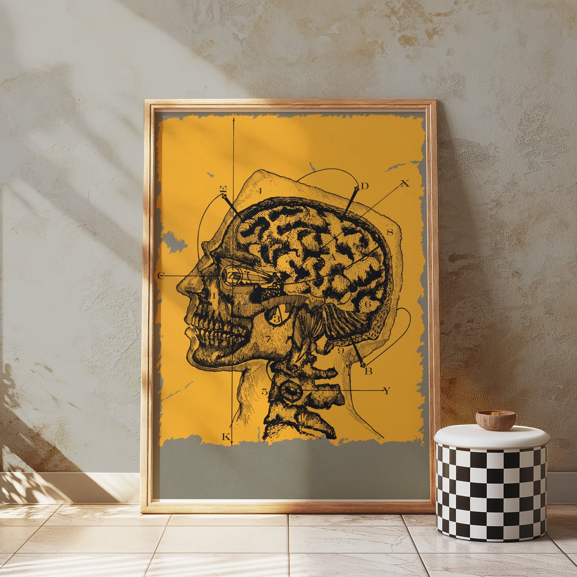 Premium Poster of Vintage Anatomical Drawing of Human Head and Brain Posters