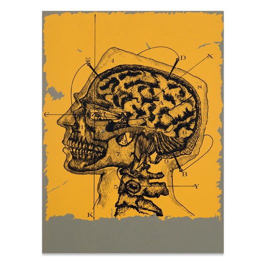Premium Poster of Vintage Anatomical Drawing of Human Head and Brain Posters