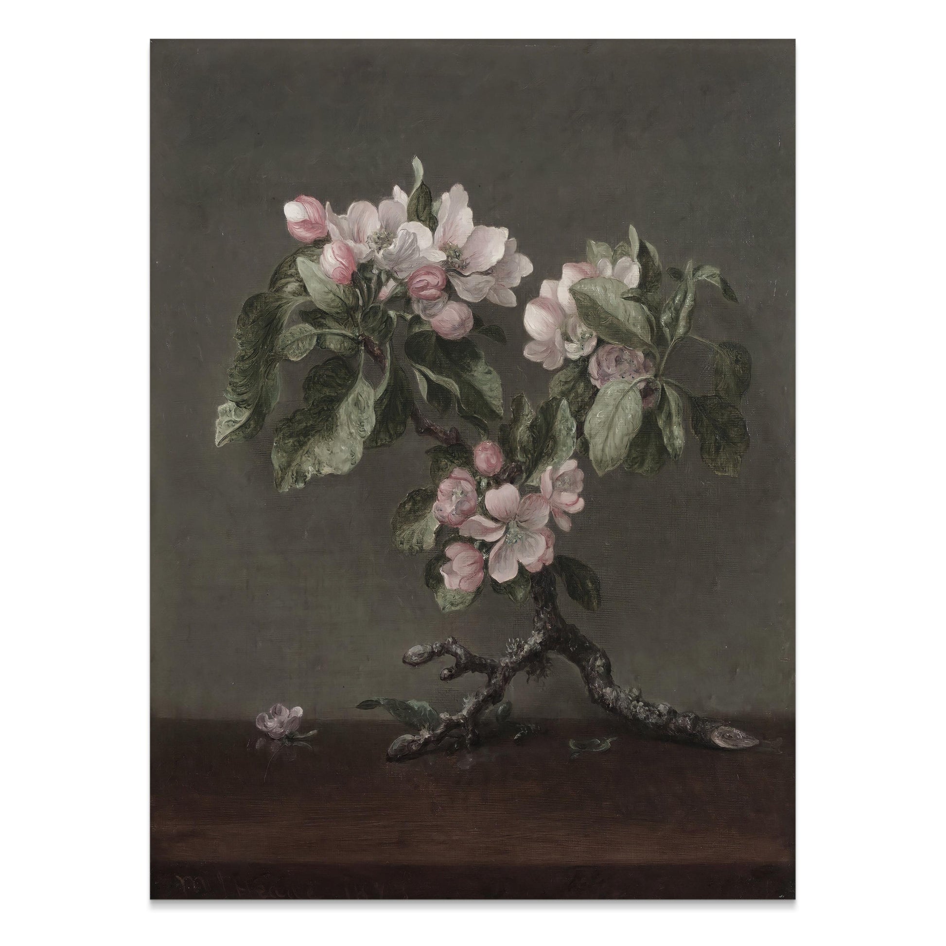 Premium Poster of Vintage Art Botanical Flower Print Posters