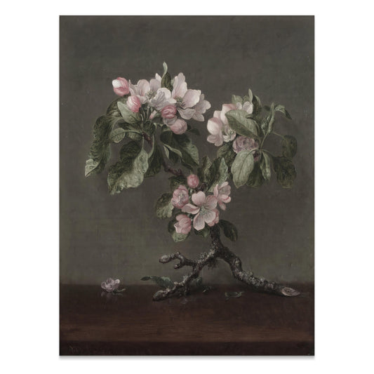 Premium Poster of Vintage Art Botanical Flower Print Posters