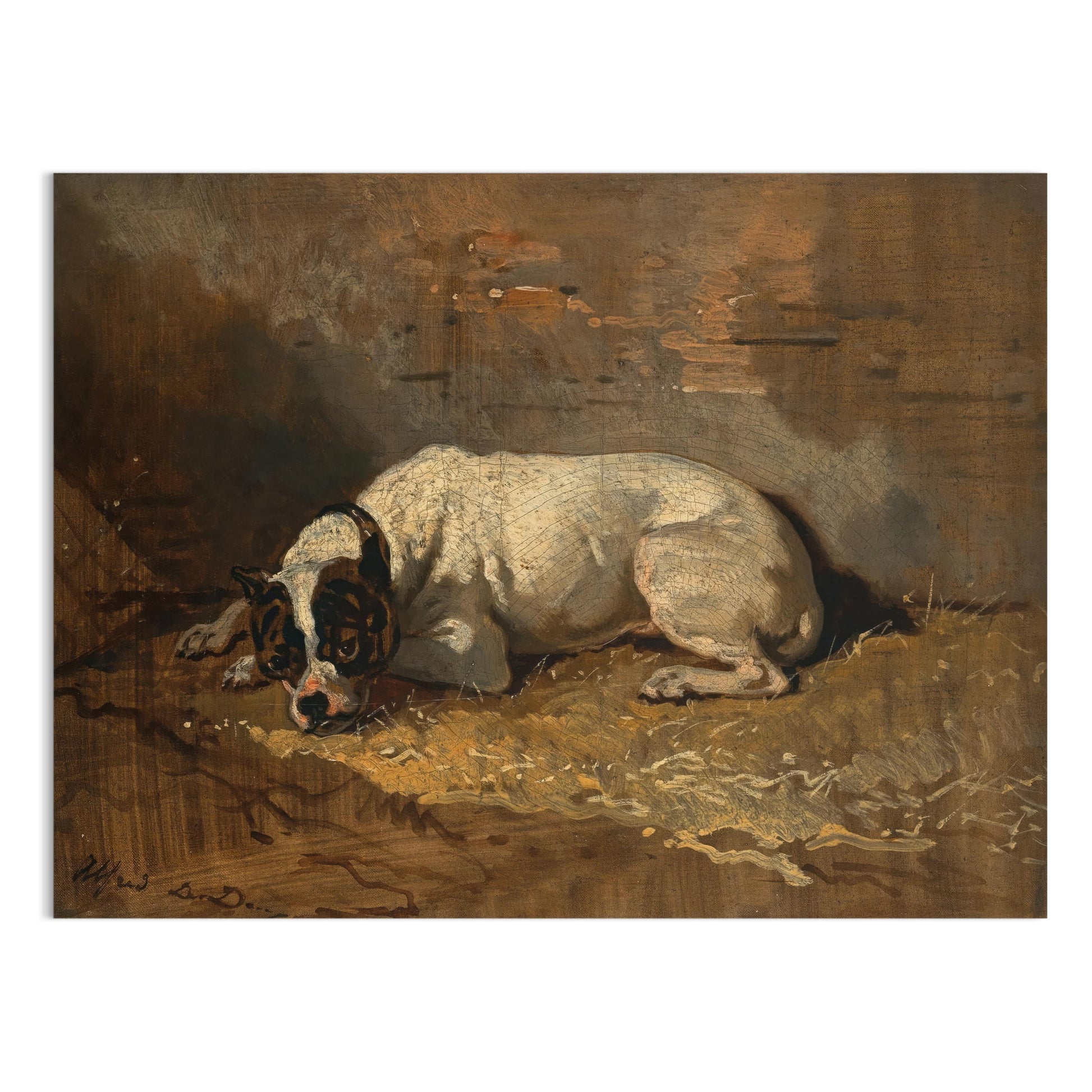 Premium Poster of Vintage Artwork Depicting a Resting Dog on Posters
