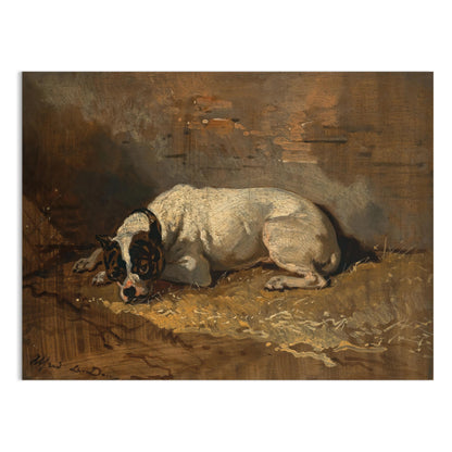 Premium Poster of Vintage Artwork Depicting a Resting Dog on Posters
