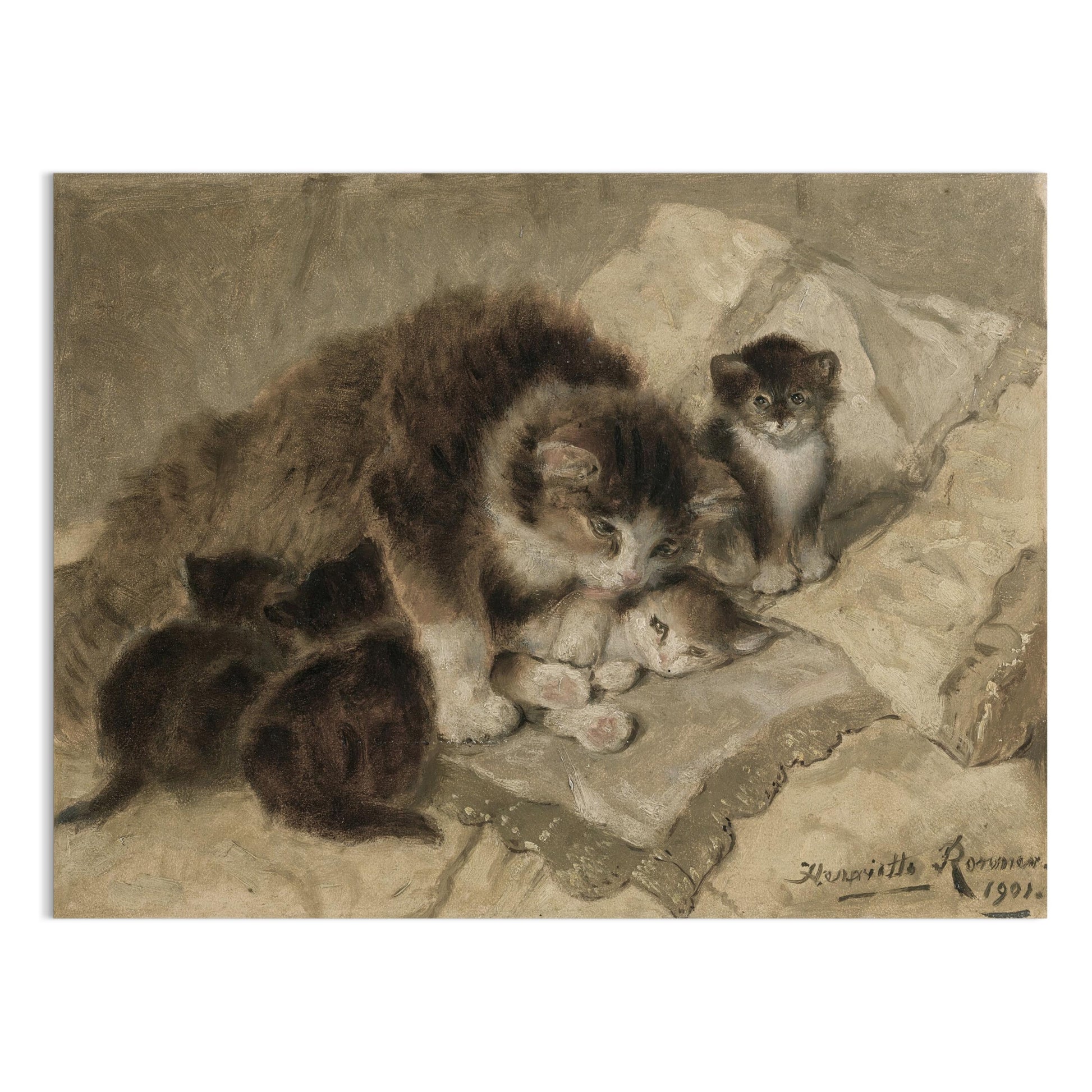 Premium Poster of Vintage Artwork of Cats with Kittens from 1901 Posters