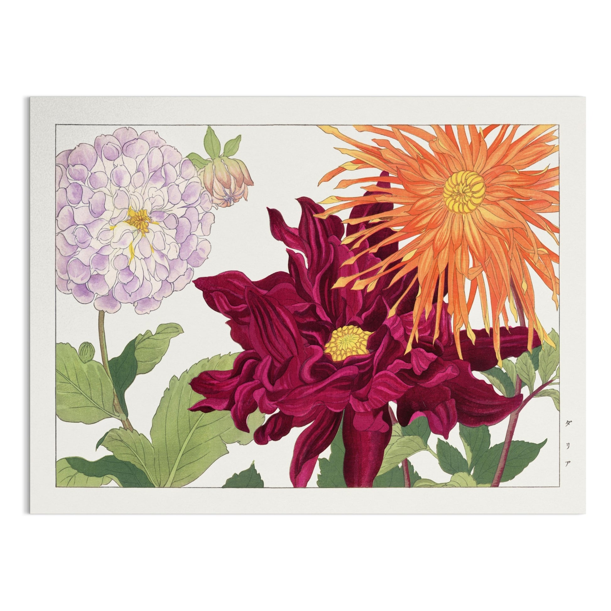 Premium Poster of Vintage Botanical Art Japanese Flowers Wall Posters