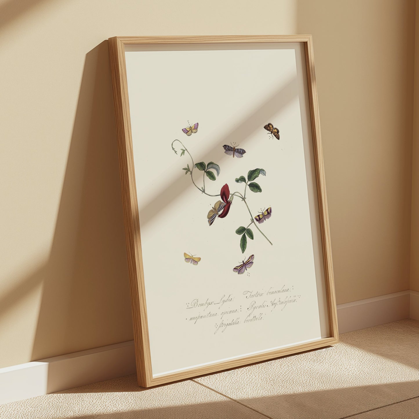 Premium Poster of Vintage Botanical Art with Butterflies Posters
