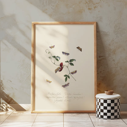 Premium Poster of Vintage Botanical Art with Butterflies Posters