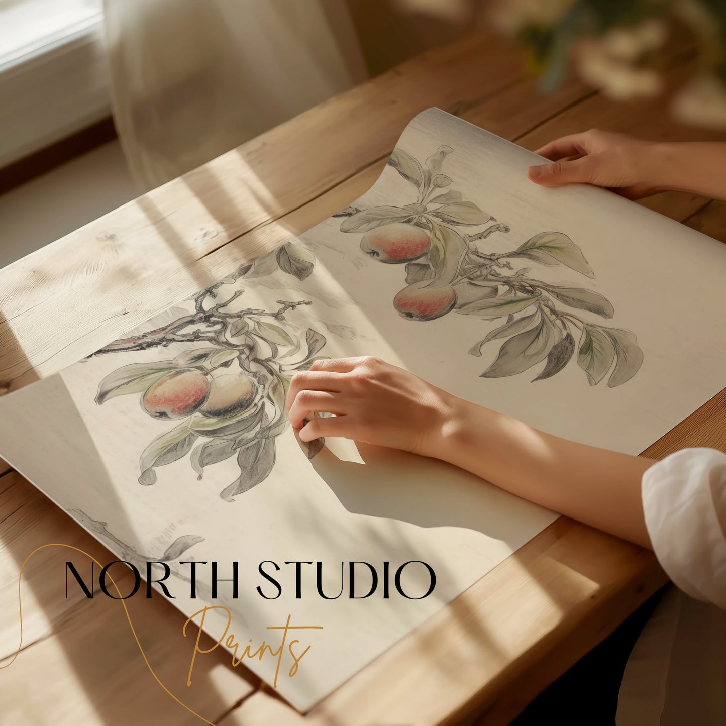 Premium Poster of Vintage Botanical Fruit Tree Art Print Posters