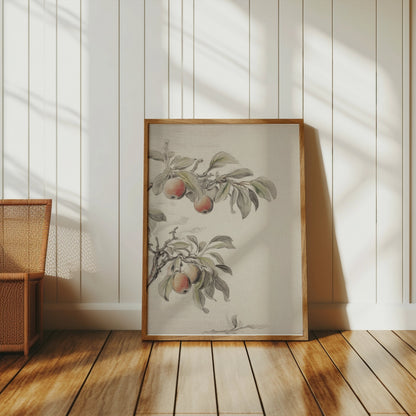 Premium Poster of Vintage Botanical Fruit Tree Art Print Posters