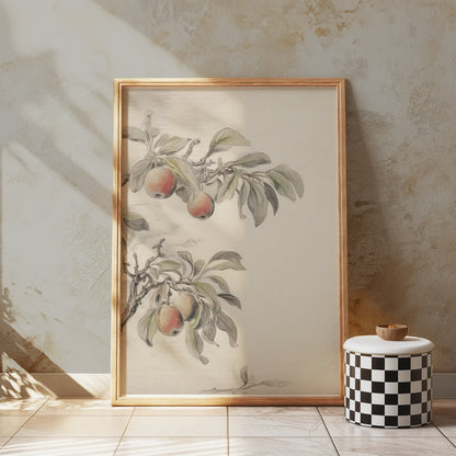 Premium Poster of Vintage Botanical Fruit Tree Art Print Posters