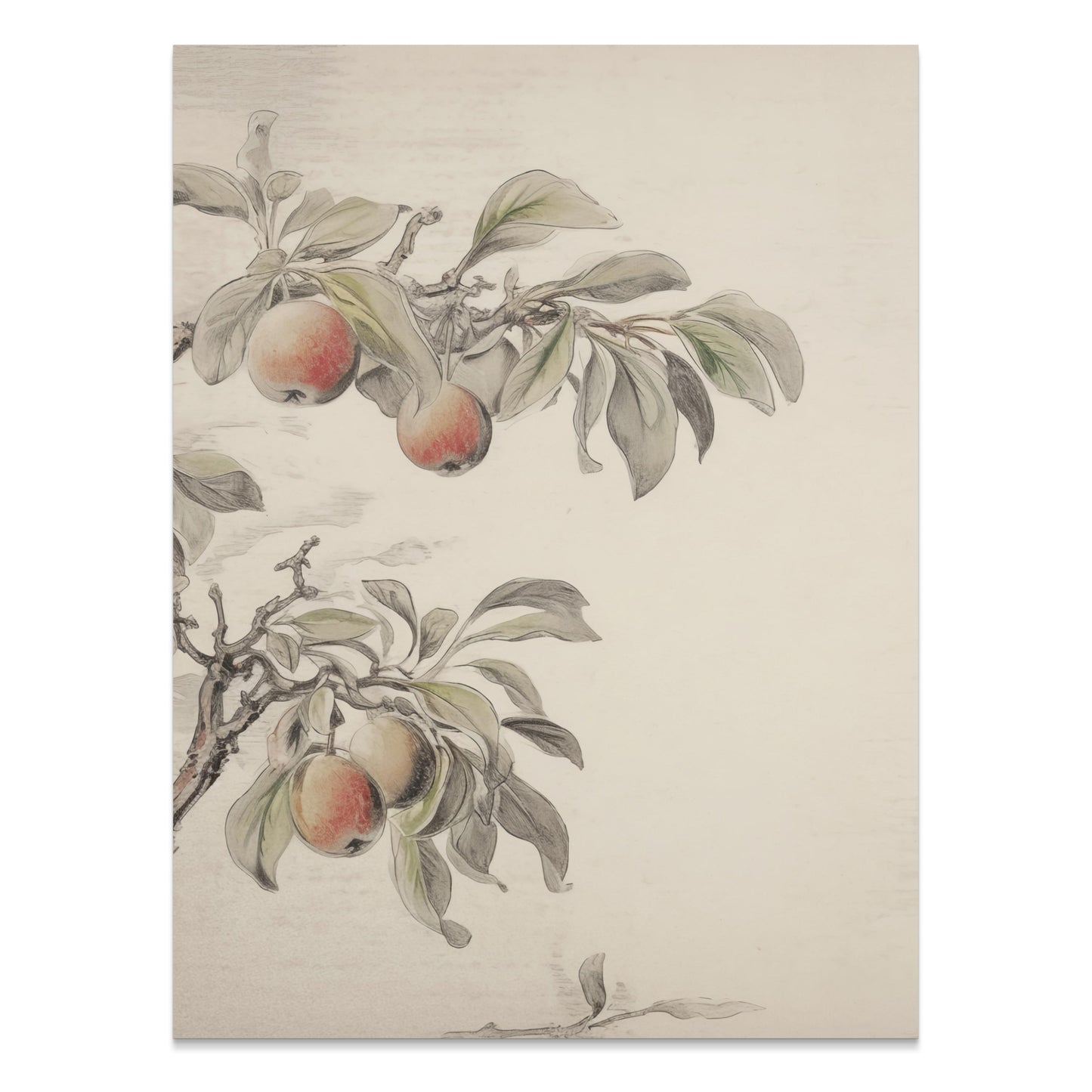Premium Poster of Vintage Botanical Fruit Tree Art Print Posters