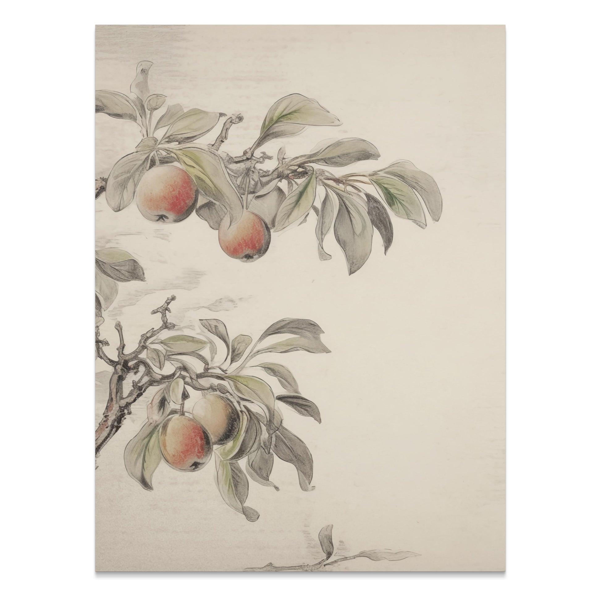 Premium Poster of Vintage Botanical Fruit Tree Art Print Posters