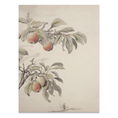 Premium Poster of Vintage Botanical Fruit Tree Art Print Posters
