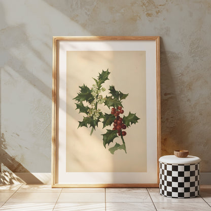 Premium Poster of Vintage Botanical Holly Berries and Leaves Art Posters