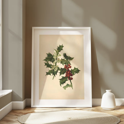 Premium Poster of Vintage Botanical Holly Berries and Leaves Art Posters