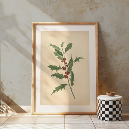 Premium Poster of Vintage Botanical Illustration Art Print Posters