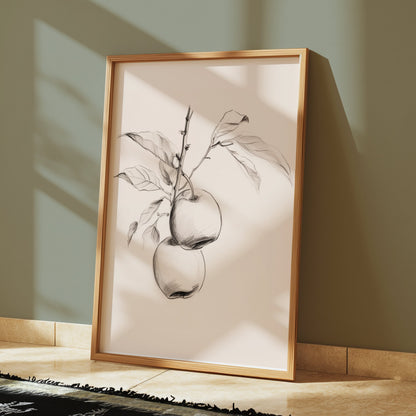 Premium Poster of Vintage Botanical Illustration of Apple Tree Posters