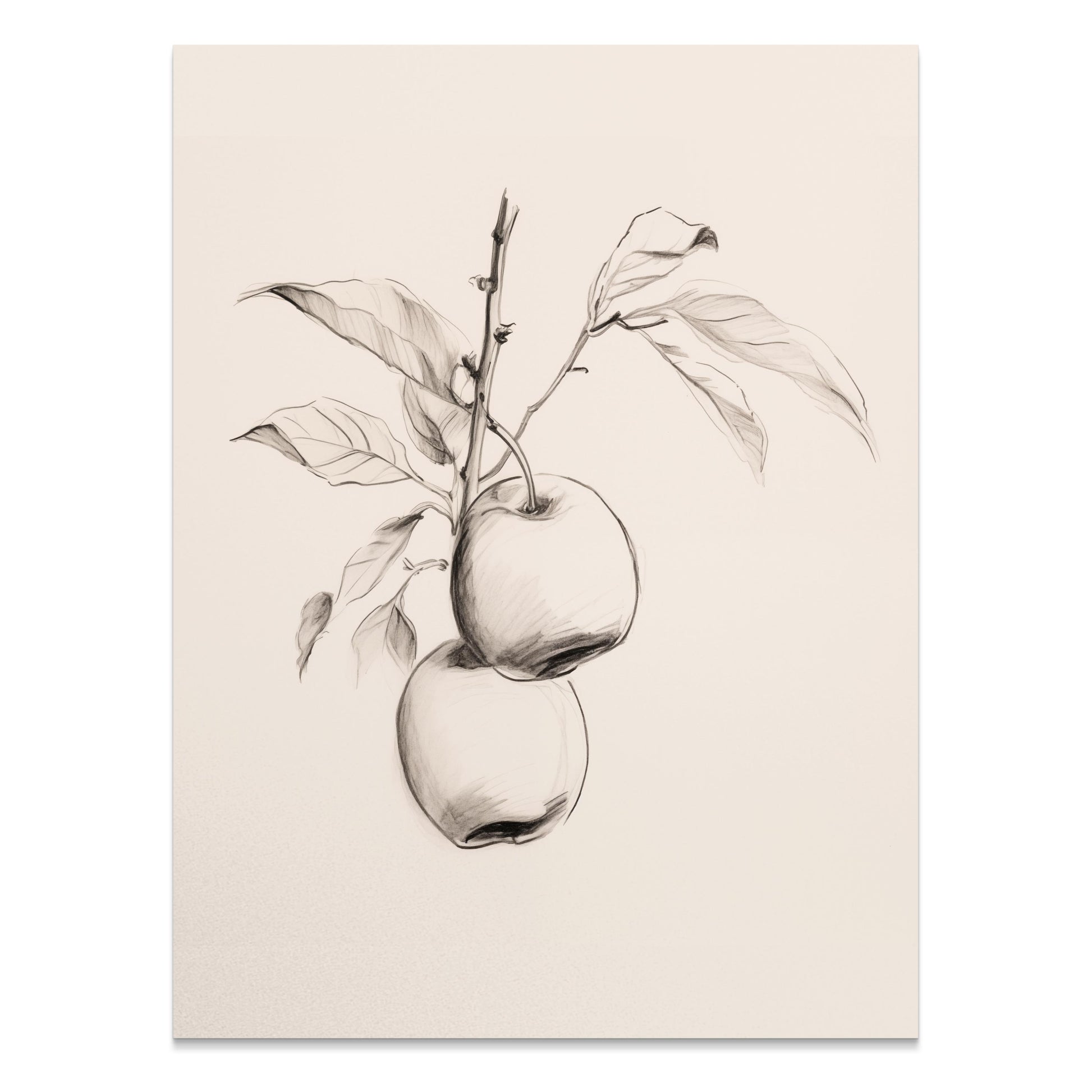 Premium Poster of Vintage Botanical Illustration of Apple Tree Posters